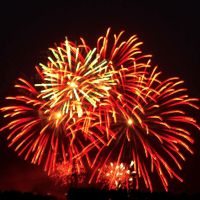 A bunch of fireworks are lit up in the night sky