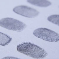 A close up of fingerprints on paper